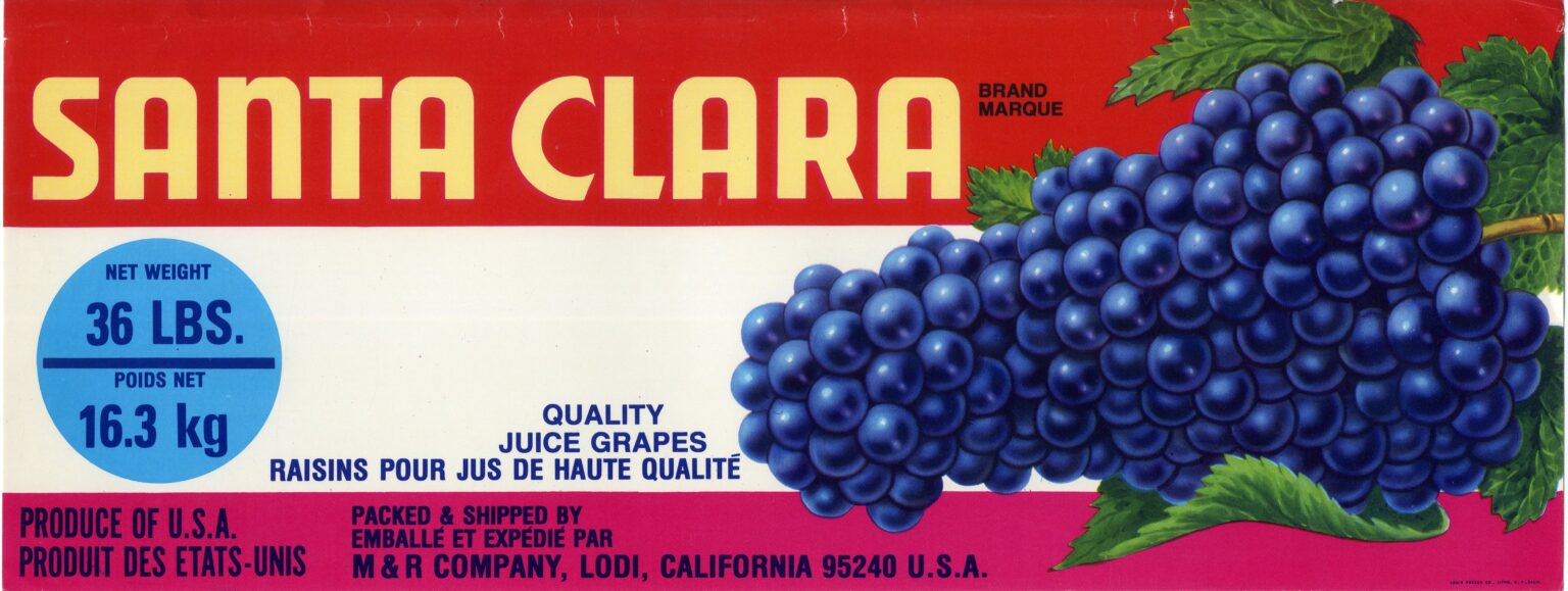 Santa Clara